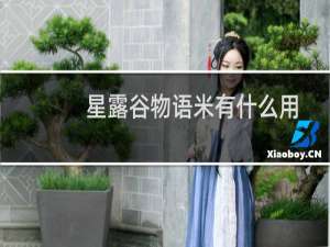 星露谷物语米有什么用