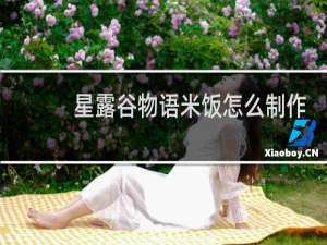 星露谷物语米饭怎么制作