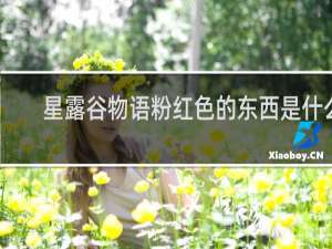 星露谷物语粉红色的东西是什么