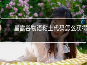 星露谷物语粘土代码怎么获得