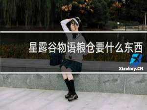 星露谷物语粮仓要什么东西
