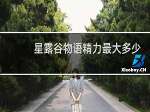 星露谷物语精力最大多少
