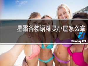 星露谷物语精灵小屋怎么拿