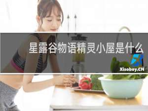 星露谷物语精灵小屋是什么