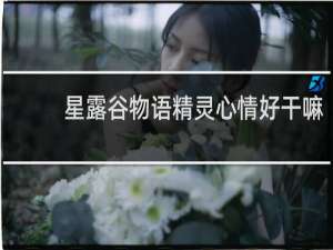 星露谷物语精灵心情好干嘛