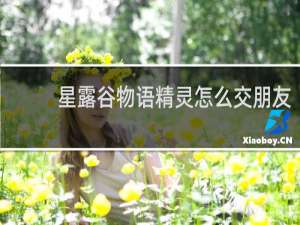 星露谷物语精灵怎么交朋友