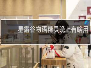 星露谷物语精灵晚上有啥用