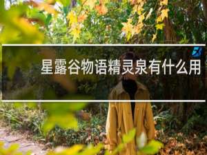 星露谷物语精灵泉有什么用