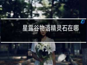 星露谷物语精灵石在哪