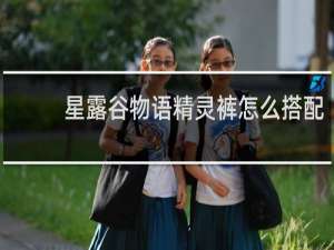 星露谷物语精灵裤怎么搭配