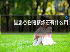星露谷物语精炼石有什么用