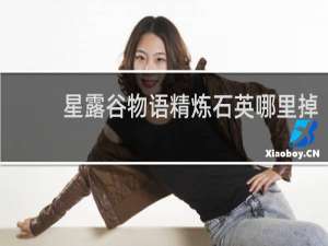 星露谷物语精炼石英哪里掉