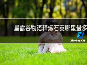 星露谷物语精炼石英哪里最多