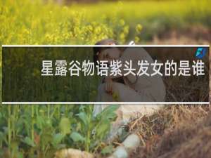 星露谷物语紫头发女的是谁