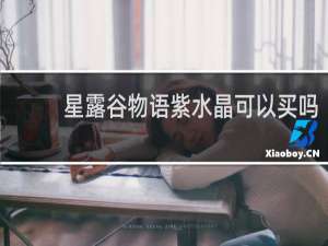 星露谷物语紫水晶可以买吗