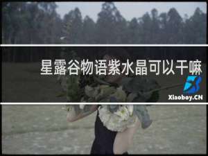 星露谷物语紫水晶可以干嘛