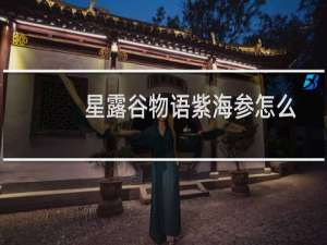 星露谷物语紫海参怎么