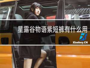 星露谷物语紫短裤有什么用