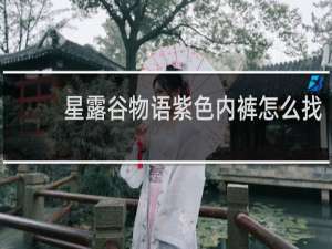 星露谷物语紫色内裤怎么找