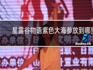 星露谷物语紫色大海参放到哪里