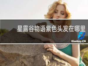 星露谷物语紫色头发在哪里