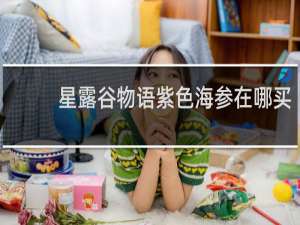 星露谷物语紫色海参在哪买