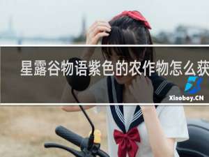 星露谷物语紫色的农作物怎么获得