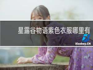 星露谷物语紫色衣服哪里有