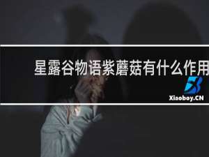 星露谷物语紫蘑菇有什么作用