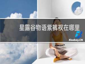 星露谷物语紫裤衩在哪里