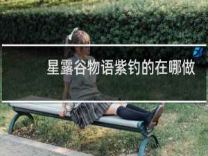 星露谷物语紫钓的在哪做