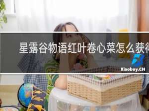 星露谷物语红叶卷心菜怎么获得