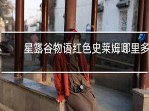 星露谷物语红色史莱姆哪里多