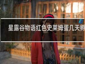 星露谷物语红色史莱姆蛋几天孵化