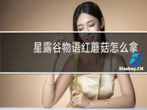 星露谷物语红蘑菇怎么拿