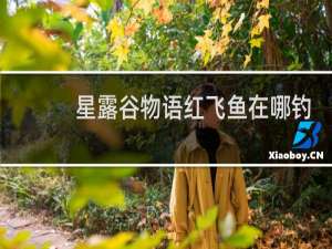 星露谷物语红飞鱼在哪钓