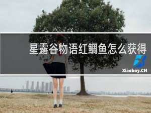 星露谷物语红鲷鱼怎么获得