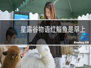 星露谷物语红鲻鱼是早上