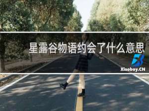 星露谷物语约会了什么意思