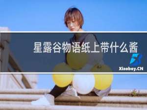 星露谷物语纸上带什么酱