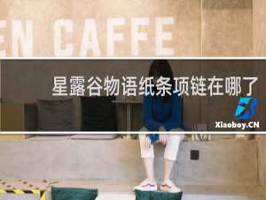 星露谷物语纸条项链在哪了