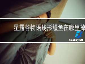 星露谷物语线形鳗鱼在哪里掉