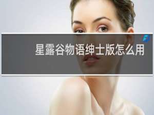 星露谷物语绅士版怎么用
