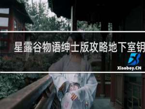 星露谷物语绅士版攻略地下室钥匙