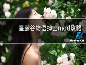星露谷物语绅士mod攻略