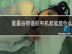 星露谷物语织布机都能放什么