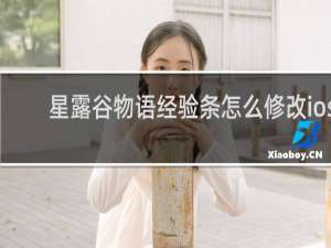 星露谷物语经验条怎么修改ios