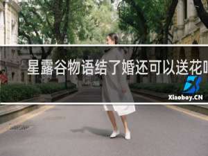 星露谷物语结了婚还可以送花吗