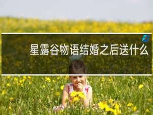 星露谷物语结婚之后送什么