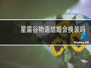星露谷物语结婚会换装吗